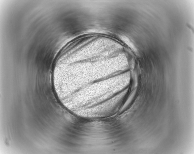 X0000093261268200710241326