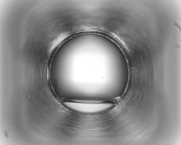 X0000093261269200710241326