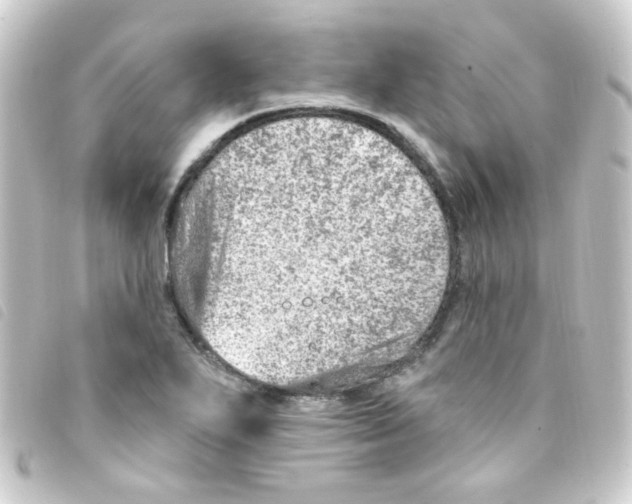 X0000093261271200710241326