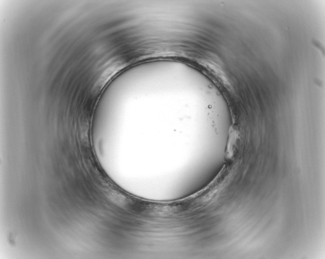 X0000093261273200710241326