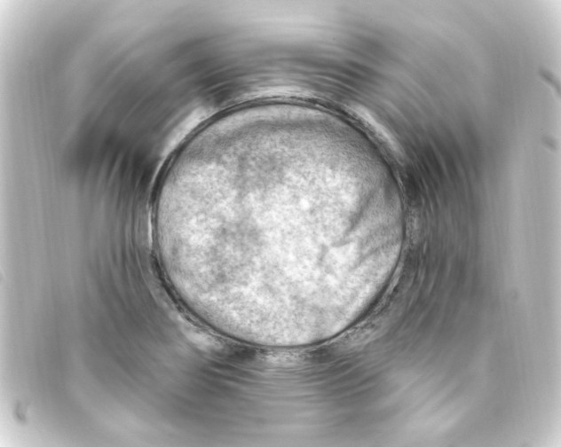 X0000093261274200710241326