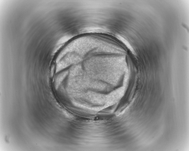 X0000093261277200710241326