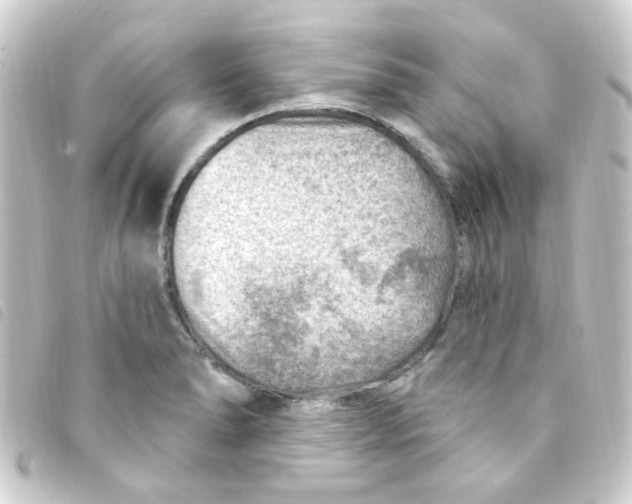 X0000093261278200710241326