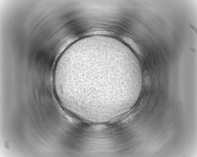 X0000093261282200710241326