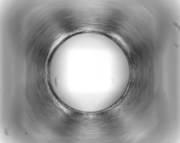X0000093261286200710241326