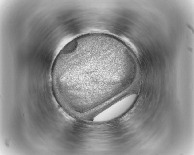 X0000093261287200710241326