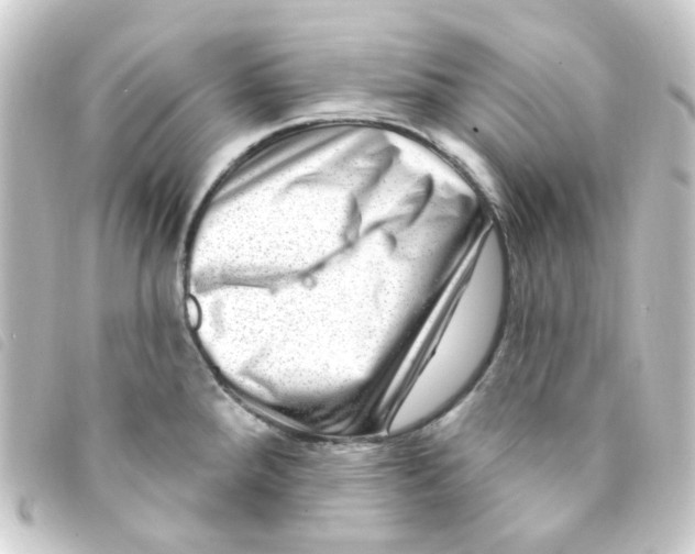 X0000093261288200710241326