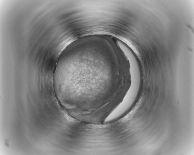 X0000093261289200710241326