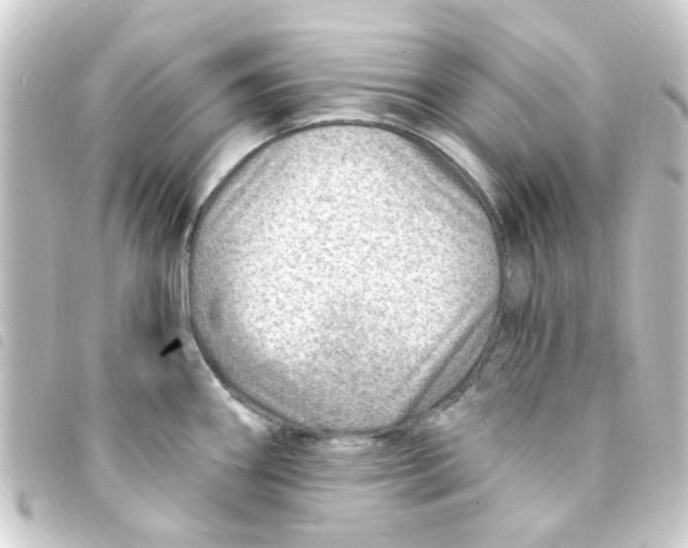 X0000093261290200710241326
