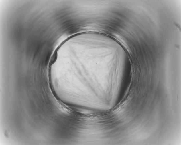 X0000093261291200710241326