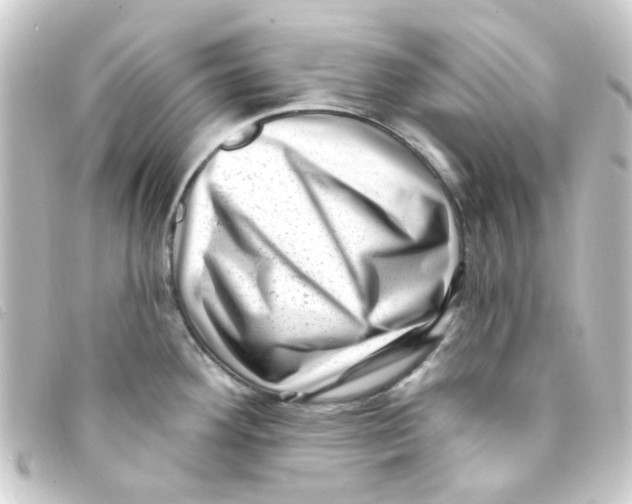 X0000093261292200710241326