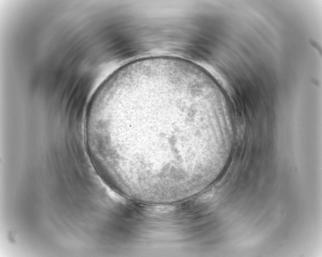 X0000093261294200710241326