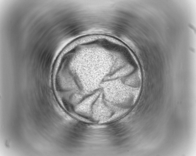 X0000093261296200710241326