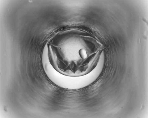 X0000093261300200710241325