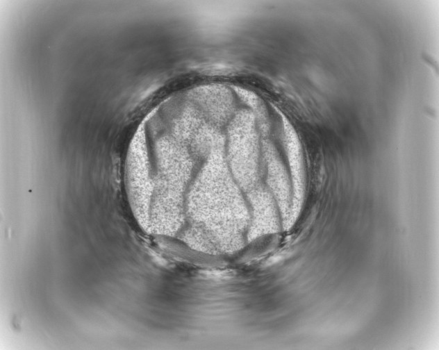 X0000093261301200710241325