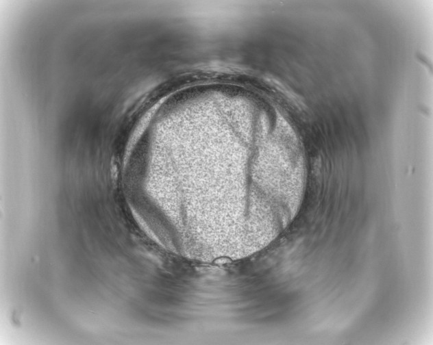 X0000093261302200710241325