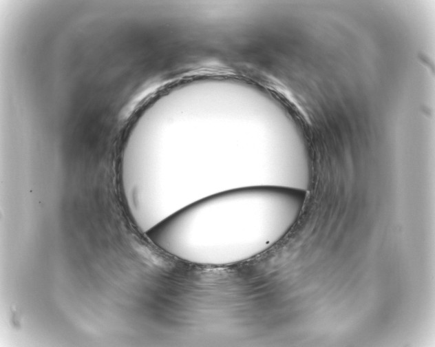 X0000093261304200710241325