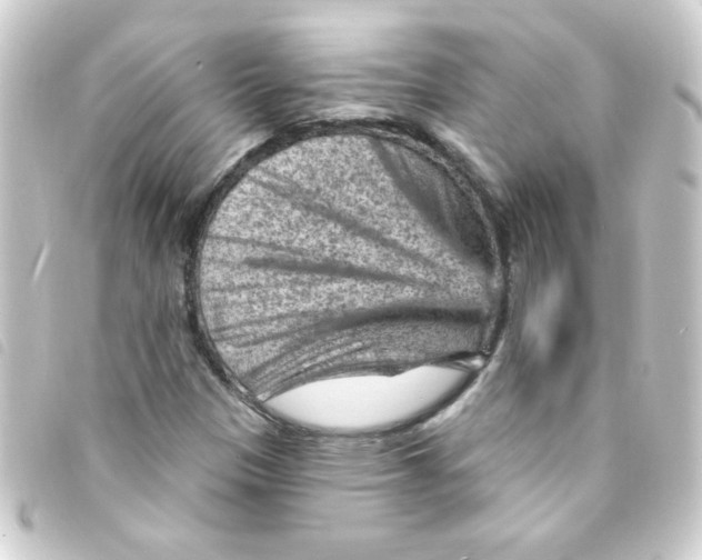 X0000093261305200710241325