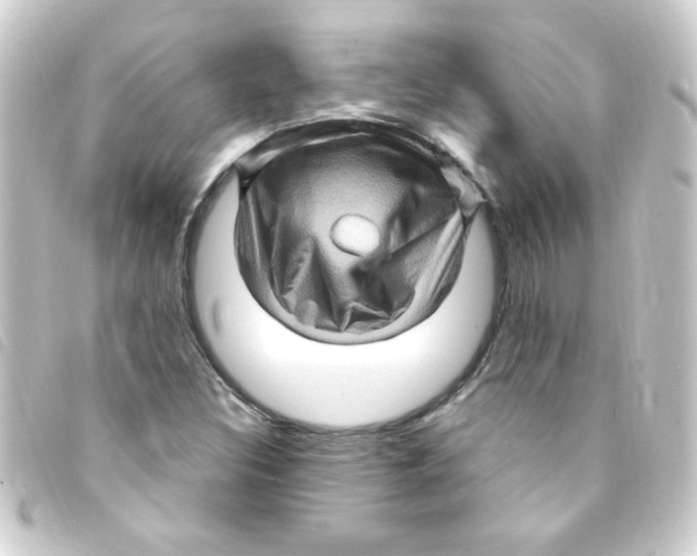 X0000093261308200710241325