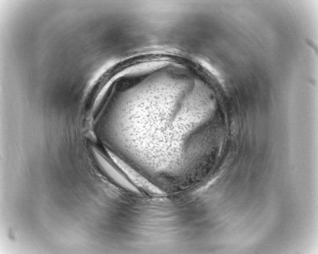 X0000093261310200710241325