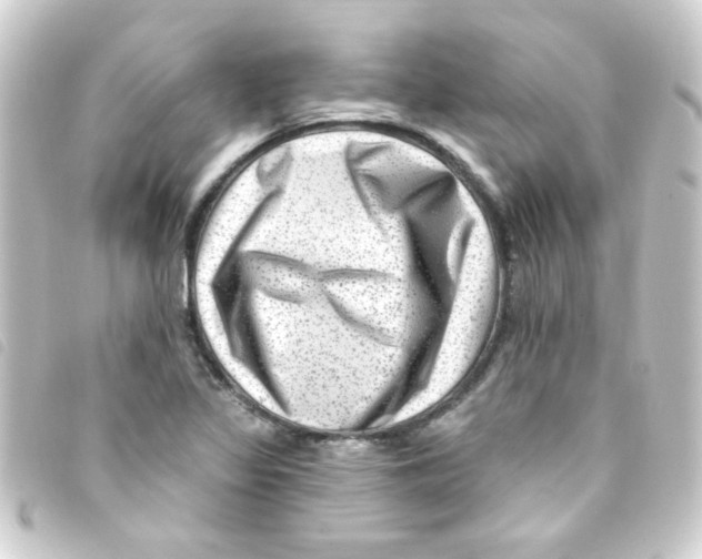 X0000093261317200710241325