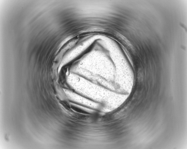 X0000093261321200710241325