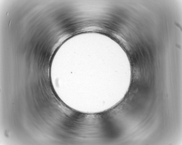 X0000093261322200710241325
