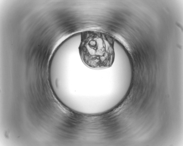 X0000093261324200710241325