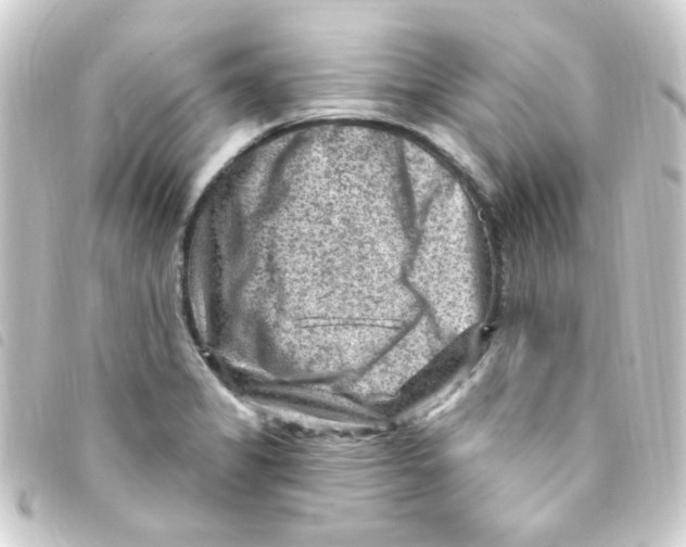 X0000093261325200710241325