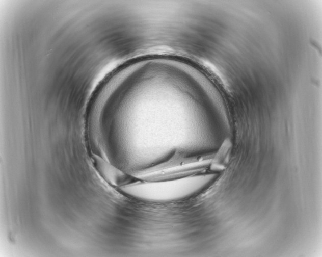 X0000093261326200710241325