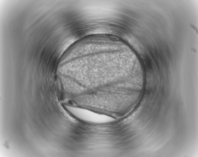X0000093261329200710241326