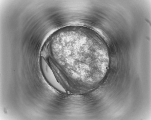 X0000093261331200710241326