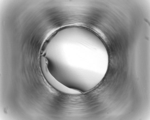 X0000093261332200710241326