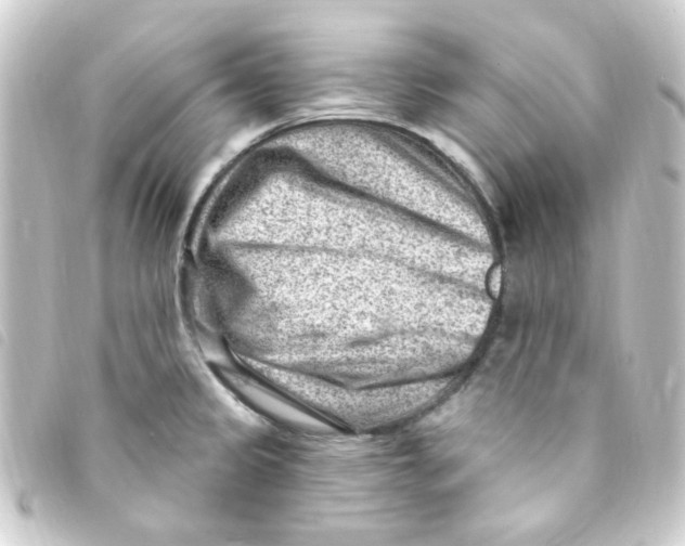 X0000093261333200710241326