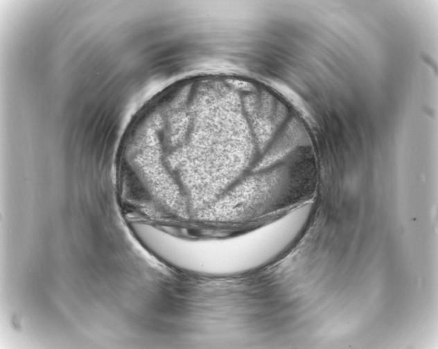 X0000093261335200710241326