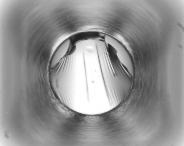 X0000093261336200710241326