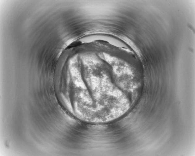 X0000093261337200710241326