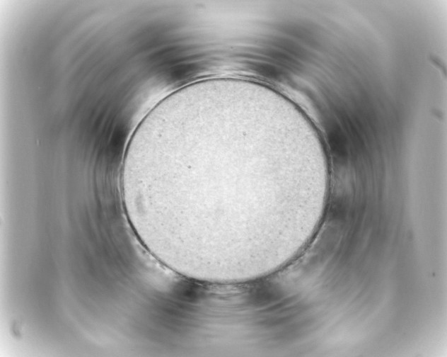 X0000093261338200710241326