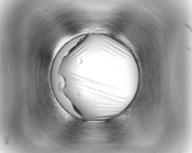 X0000093261344200710241326