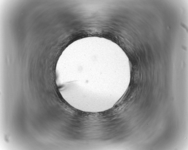 X0000093261345200710241325