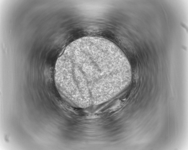 X0000093261346200710241325