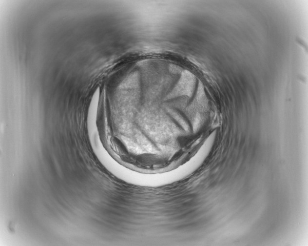 X0000093261348200710241325