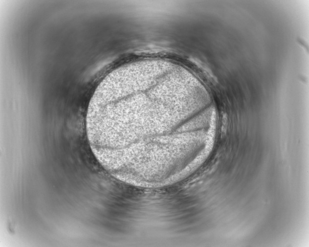 X0000093261350200710241325