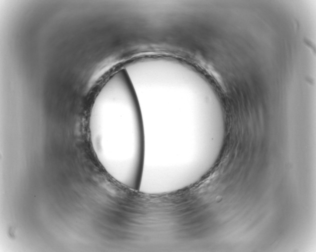 X0000093261352200710241325