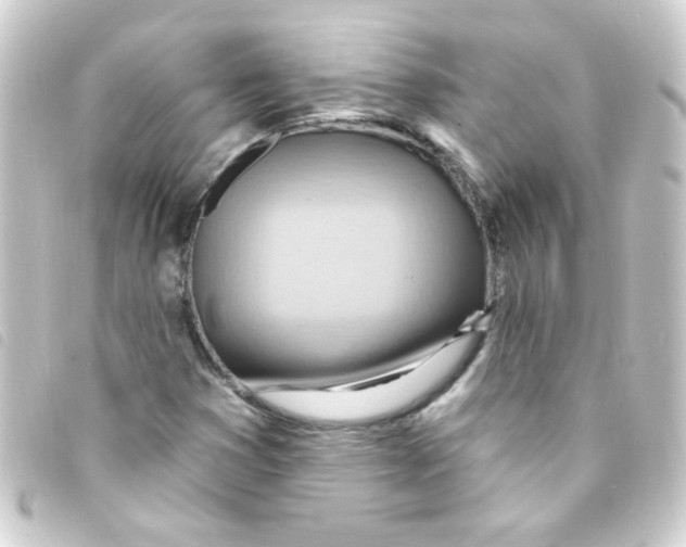 X0000093261353200710241325