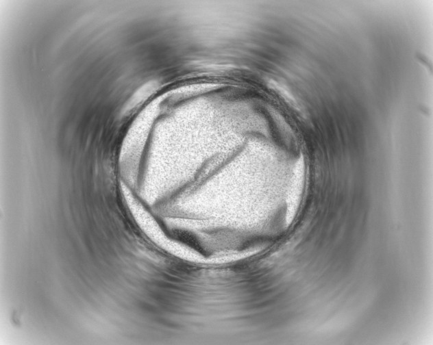 X0000093261354200710241325