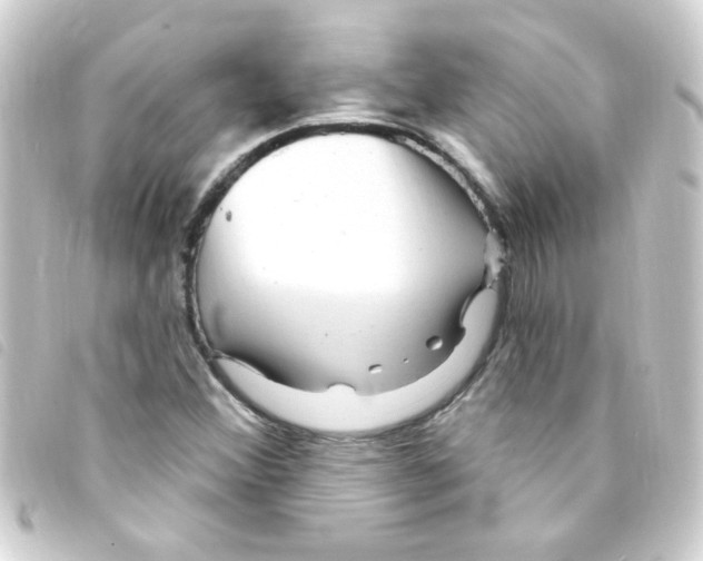 X0000093261356200710241325