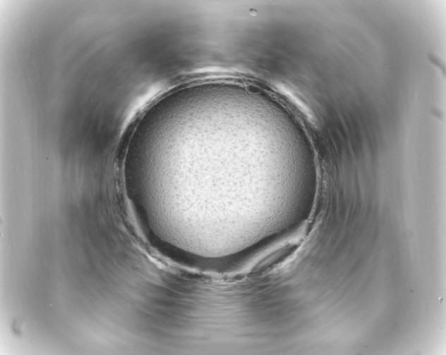 X0000093261357200710241325