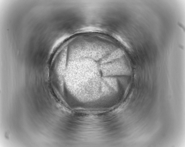 X0000093261358200710241325