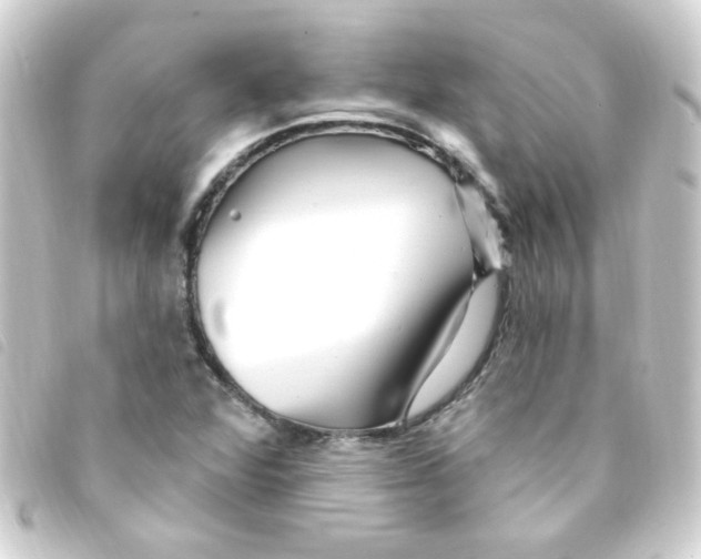 X0000093261360200710241325